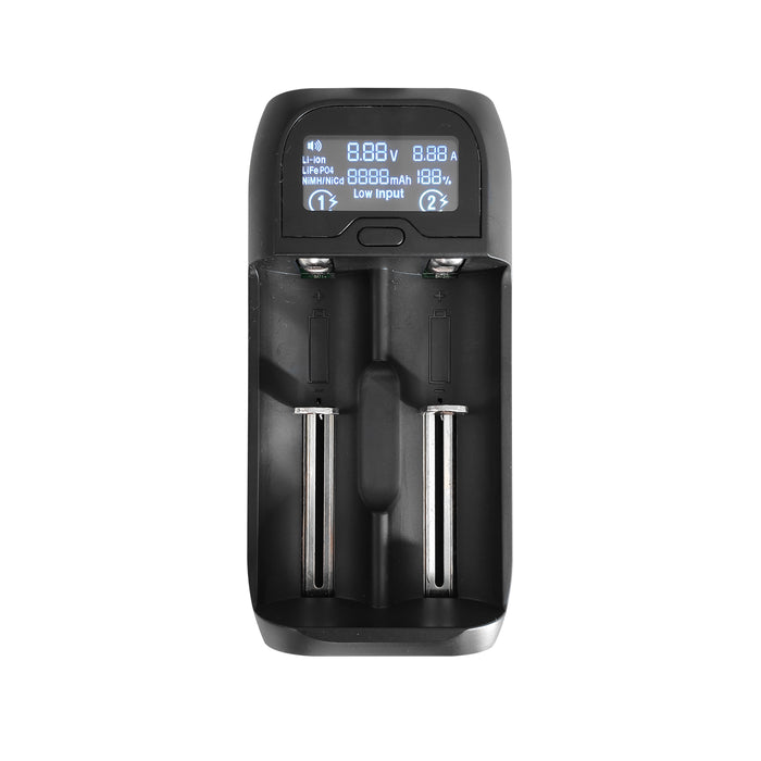 CARICABT LI-ION LIFEP04 NI-CD NI-MH
