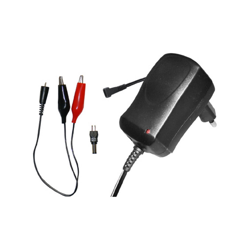 CARICABATTERIE ALCAPOWER AP12C10 12V 1000MAH